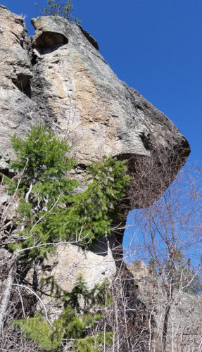 [Moa on Upper Pajarito Canyon trail]