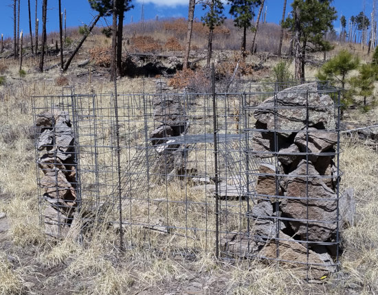 [Inexplicable cage with gabion]