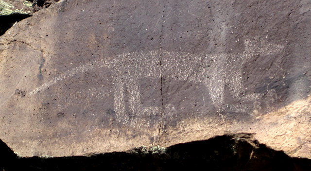 [jaguar petroglyph in White Rock Canyon]