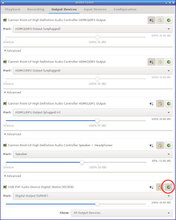 [Output Devices in pavucontrol]