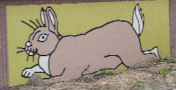 [rabbit highway art]