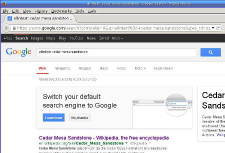 [Google begging: Switch your default search engine to Google]