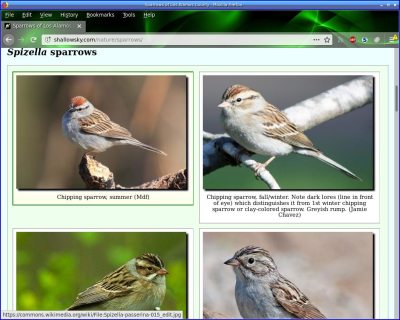 [Sparrow ID page]