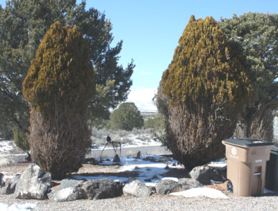 [deer topiary]