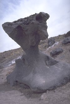 [Elephant Rock]
