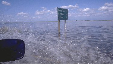 [Driving through Flooded Road]