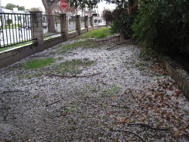 [Hail in California]