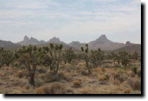 [Castle Peaks, Mojave]