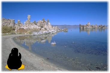 [Mono Lake, with Tux]