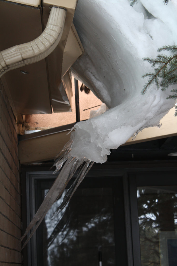 [Icicles outside the den - ...]