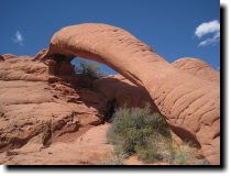 [Cobra Arch on the Vermillion Cliffs trip]