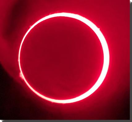 [Annular eclipse, afocal with cellphone camera through H-alpha scope]