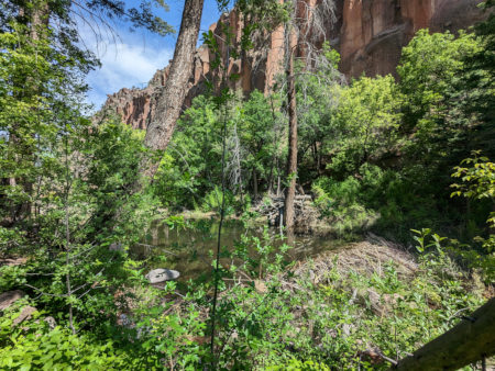 [Beaver pond at Bandelier]