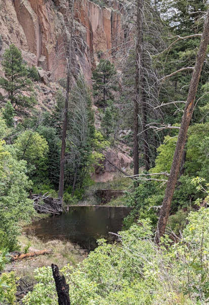 [Beaver pond at Bandelier]