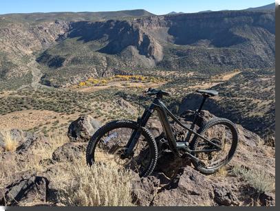 [Specialized Turbo Levo SL Kids mountain bike, dark green, standing amid rocks at the edge of a cliff; in the canyon below you can see a river and some nice yellow fall color]