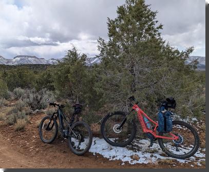 [Two Specialized Turbo Levo SL Kids mountain bikes, one dark green, one bright orange, leaning against a juniper, with a little snow on the ground]