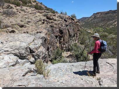 [A hiker views the pour-off - a steep cliff - near the mouth of Water Canyon. The vertical face of the cliff is the normal black of basalt, but the basalt on top of the pour-off has been worn to where it's smooth and almost white ]