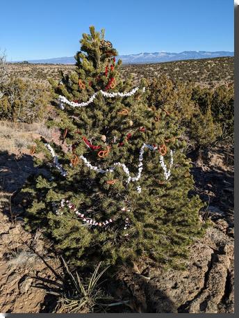 [Festive tree at the end of Knife Edge trail]