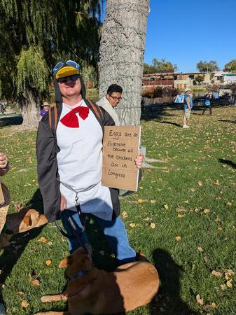 [a protester dressed as a penguin with a red bowtie holds a sign: Eggs are so expensive because all the chickens are in congress]