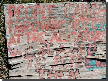 [hand painted sign: PEOPLE CAUGHT THROWING OBJECTS AT THE ALLIGATORS WILL BE ASKED TO RETRIEVE THEM]