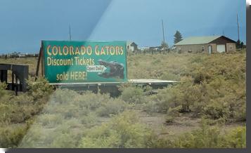 [A sign on a platform in a field of weeds: COLORADO GATORS Discount Tickets sold HERE! with a picture of an alligator's head, and inside its open mouth is a smaller sign, Open Daily! ]