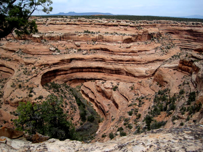 [Looking down into Mule Ca ...]