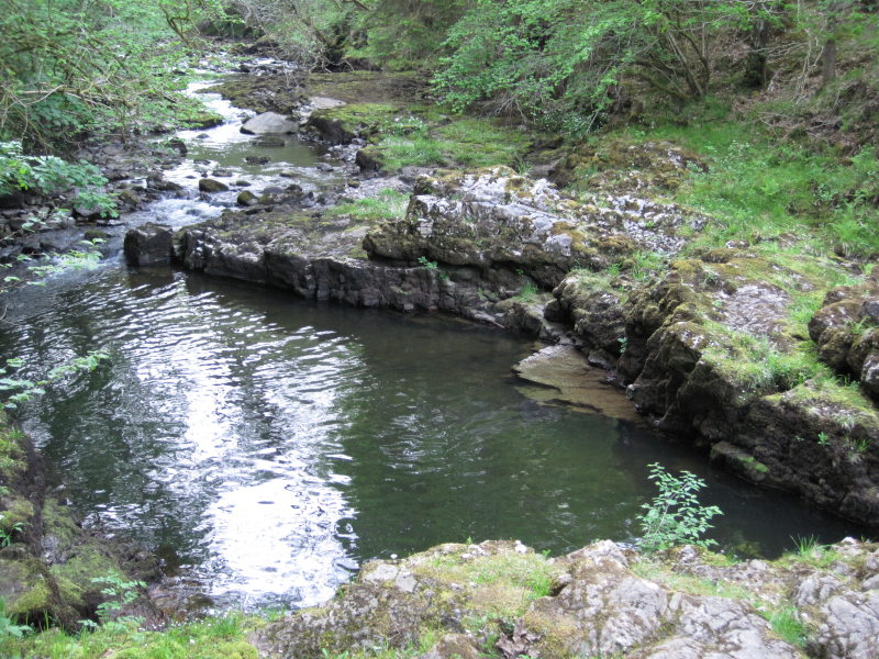 [Beautiful stream flanked  ...]