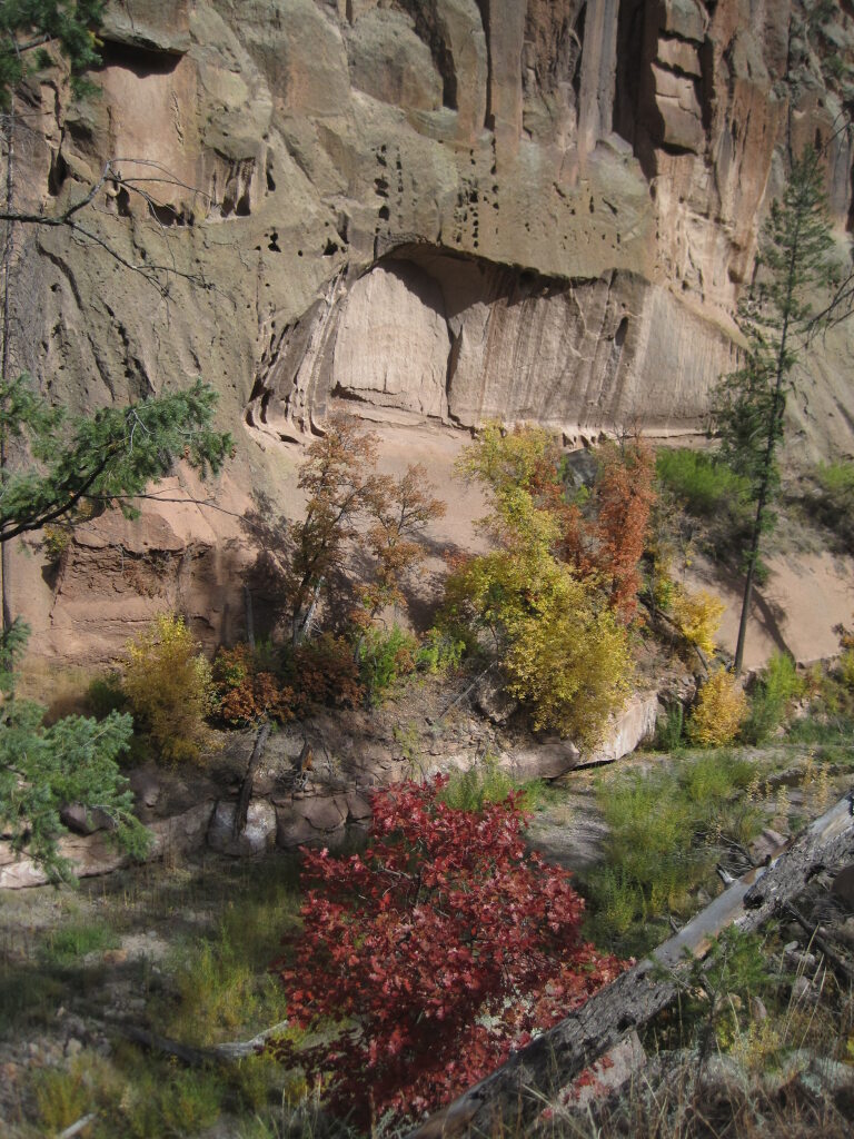 [Fall color in the canyon.]