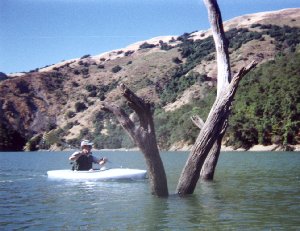 [Dave negotiating his way through some submerged tree branches]