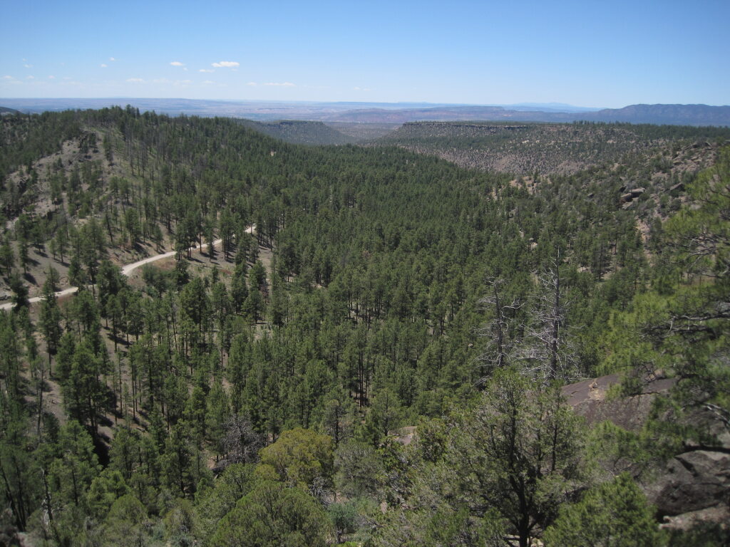 [View from an overlook loo ...]