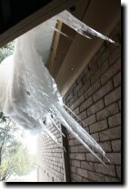 [ Icicles outside the den - ... ]
