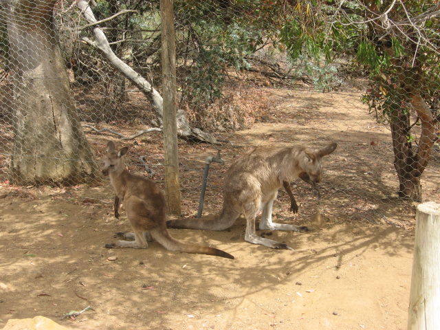 [img_8458.jpg]