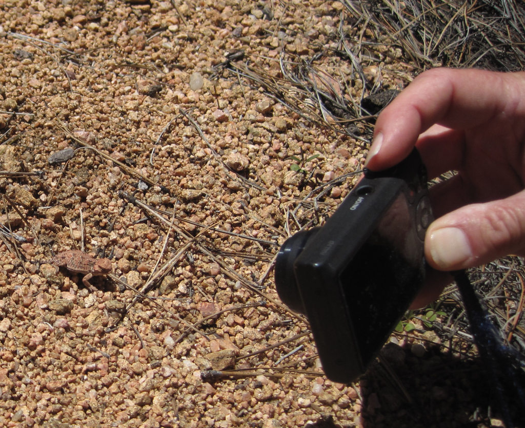 [This one was so tiny it m ...]