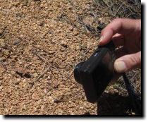 [ This one was so tiny it m ... ]