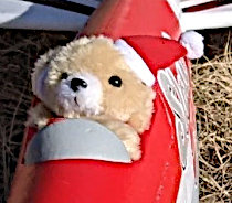 [Bear pilot with Santa hat]
